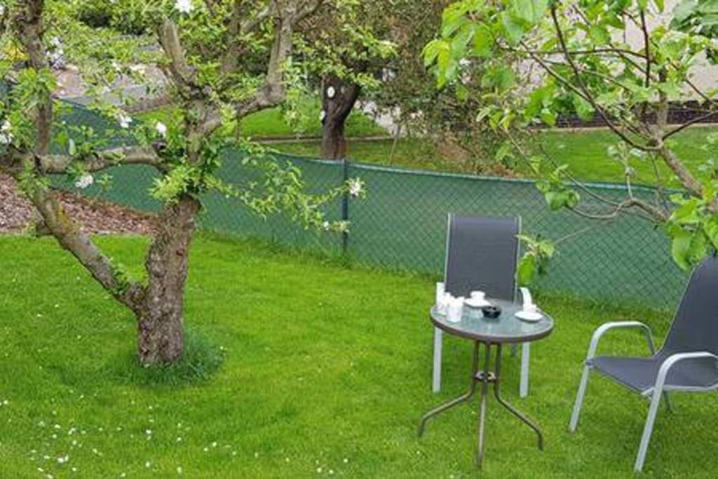 Suite With Back Garden カルロヴィ・ヴァリ エクステリア 写真